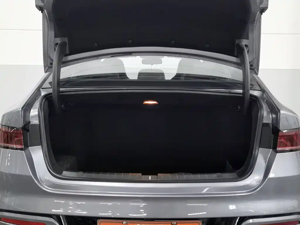 BYD Qin PLUS 2024 — фото 16