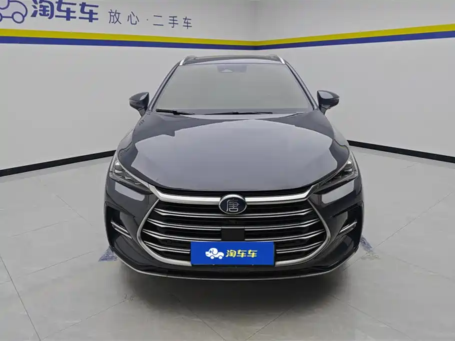 BYD Tang New Energy 2021 — фото 2