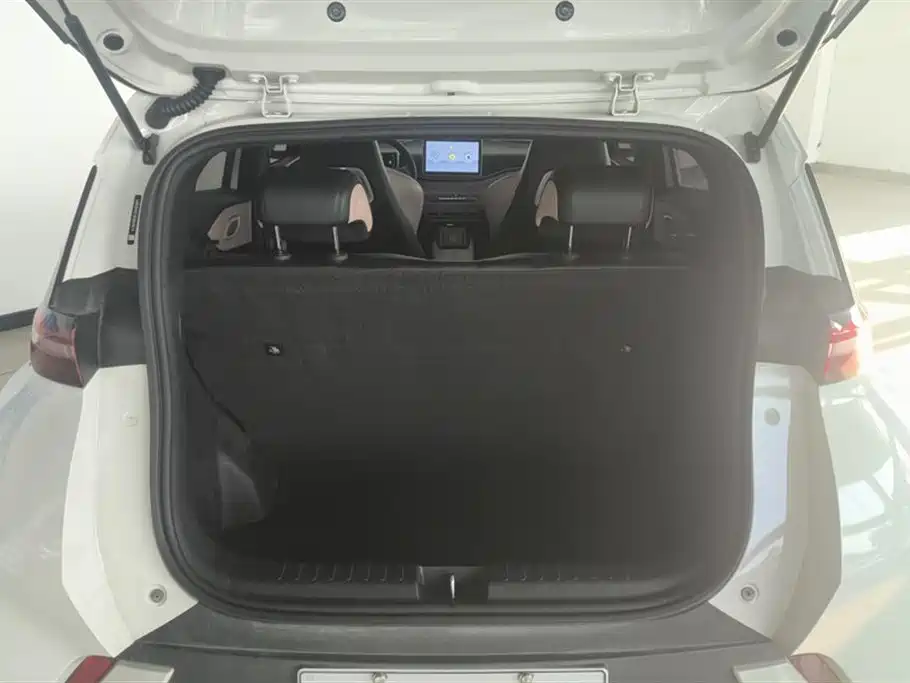 BYD Seagull 2024