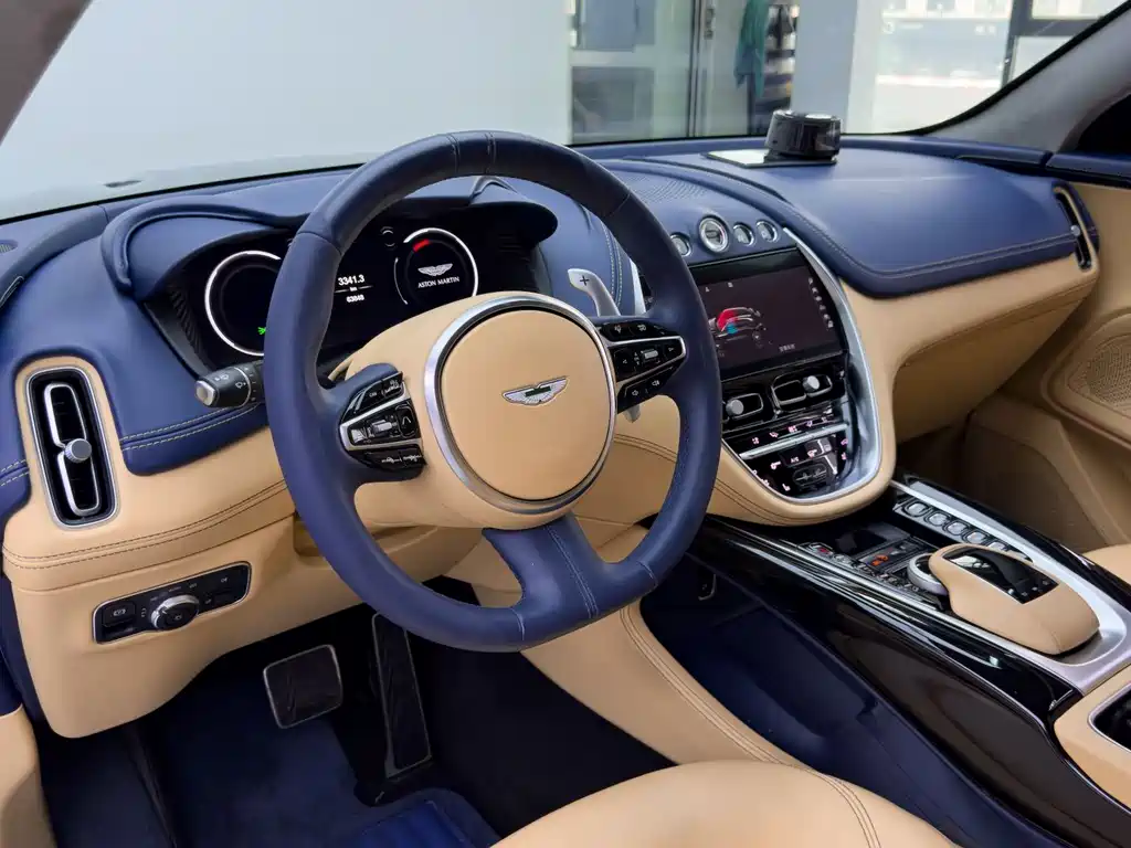 Aston Martin DBX 2021 — фото 13