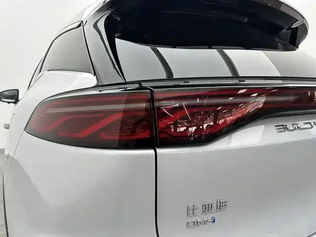 BYD Tang New Energy 2024 — фото 18