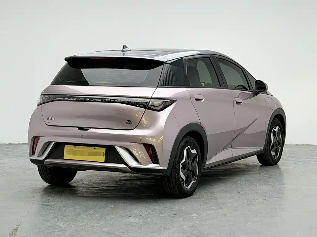 BYD Dolphin 2022