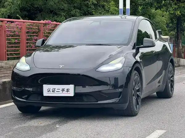 Tesla Model Y 2021