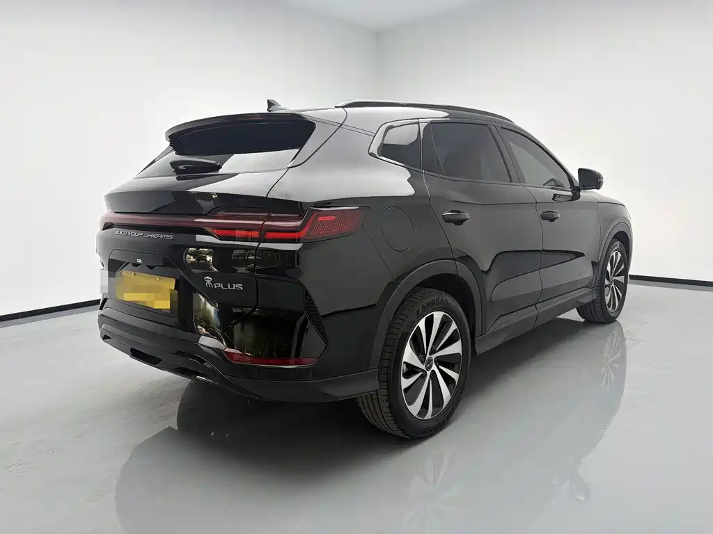 BYD Song PLUS New Energy 2024 — фото 4
