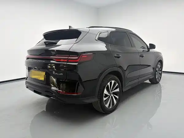 BYD Song PLUS New Energy 2024