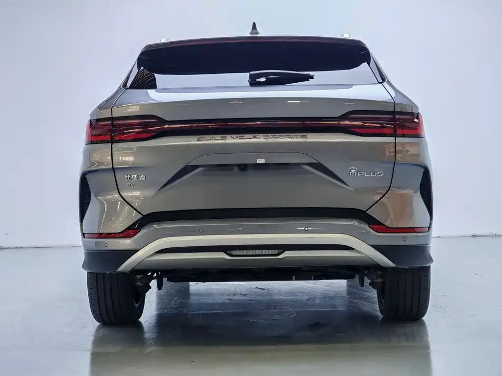 BYD PLUS New Energy 2024 — фото 12