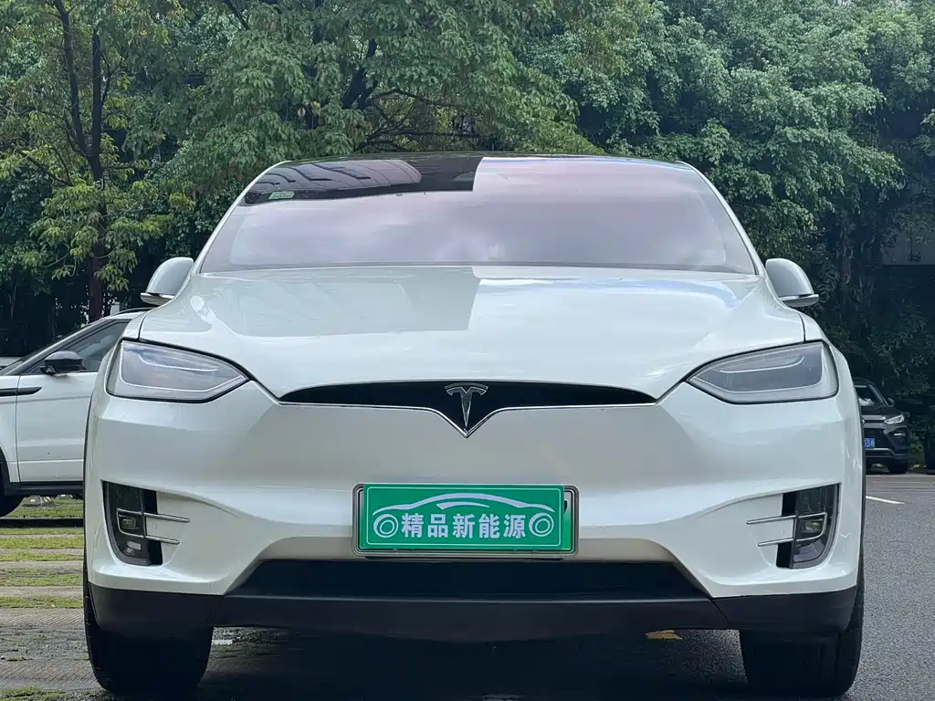 Tesla Model X 2018 — фото 2
