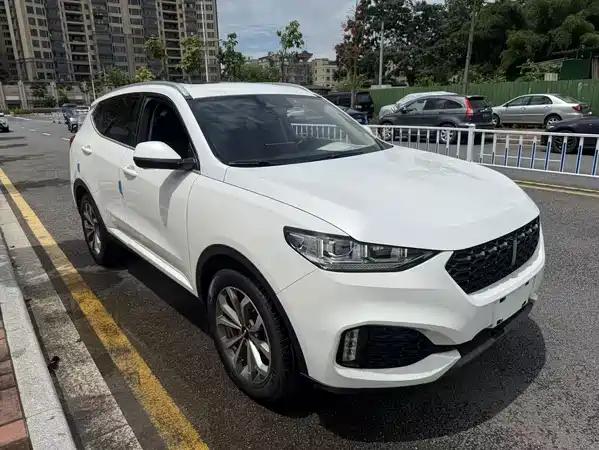 Wey VV6 2019
