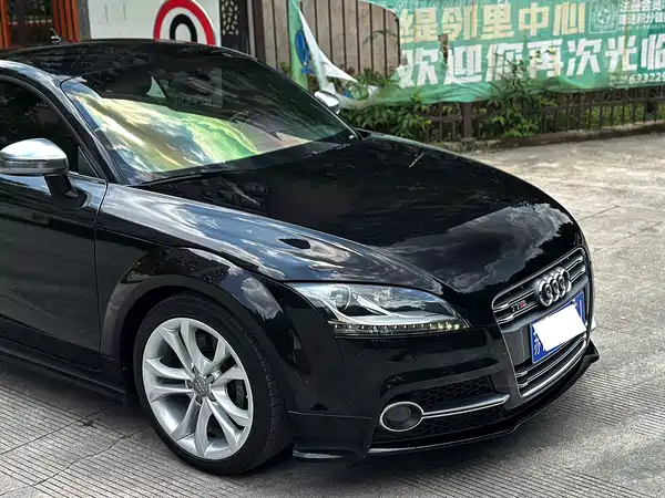Audi TTS 2013