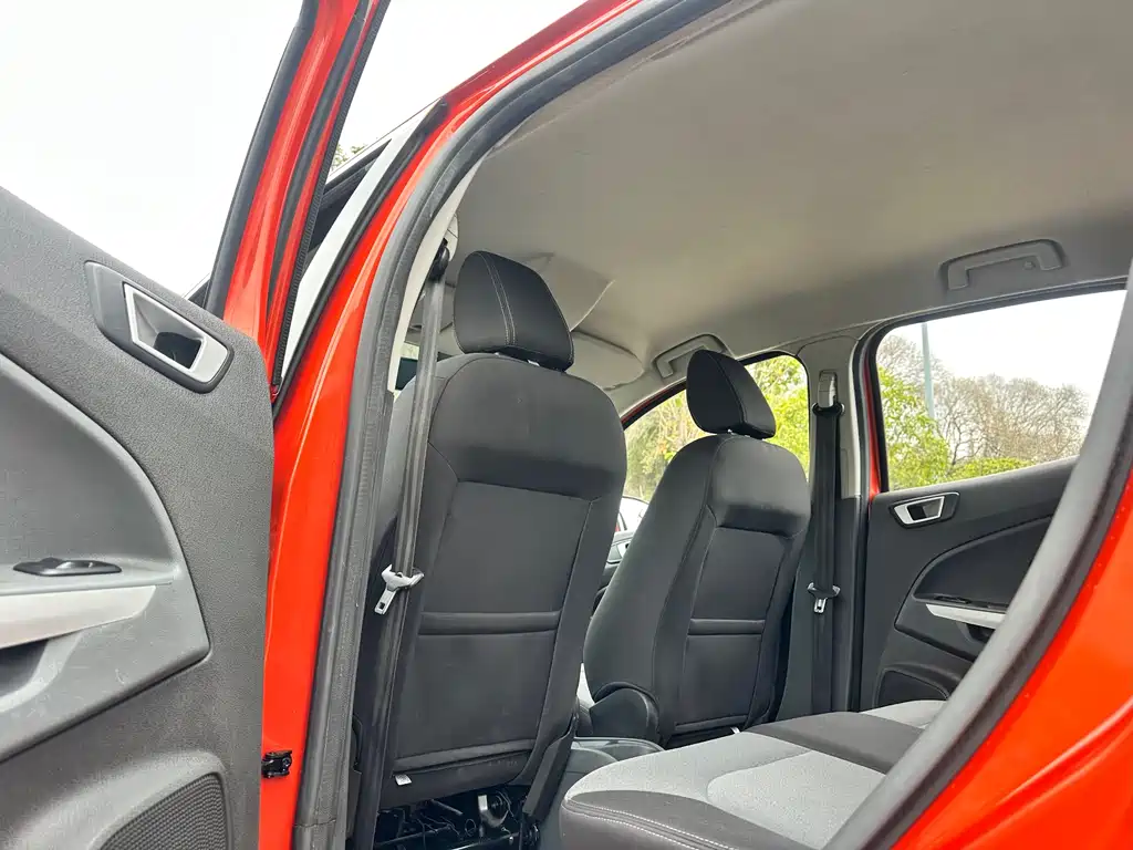 Ford Ecosport 2013 — фото 25