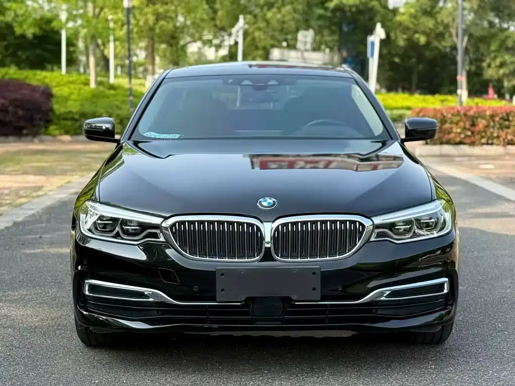 BMW 5 Series 2019