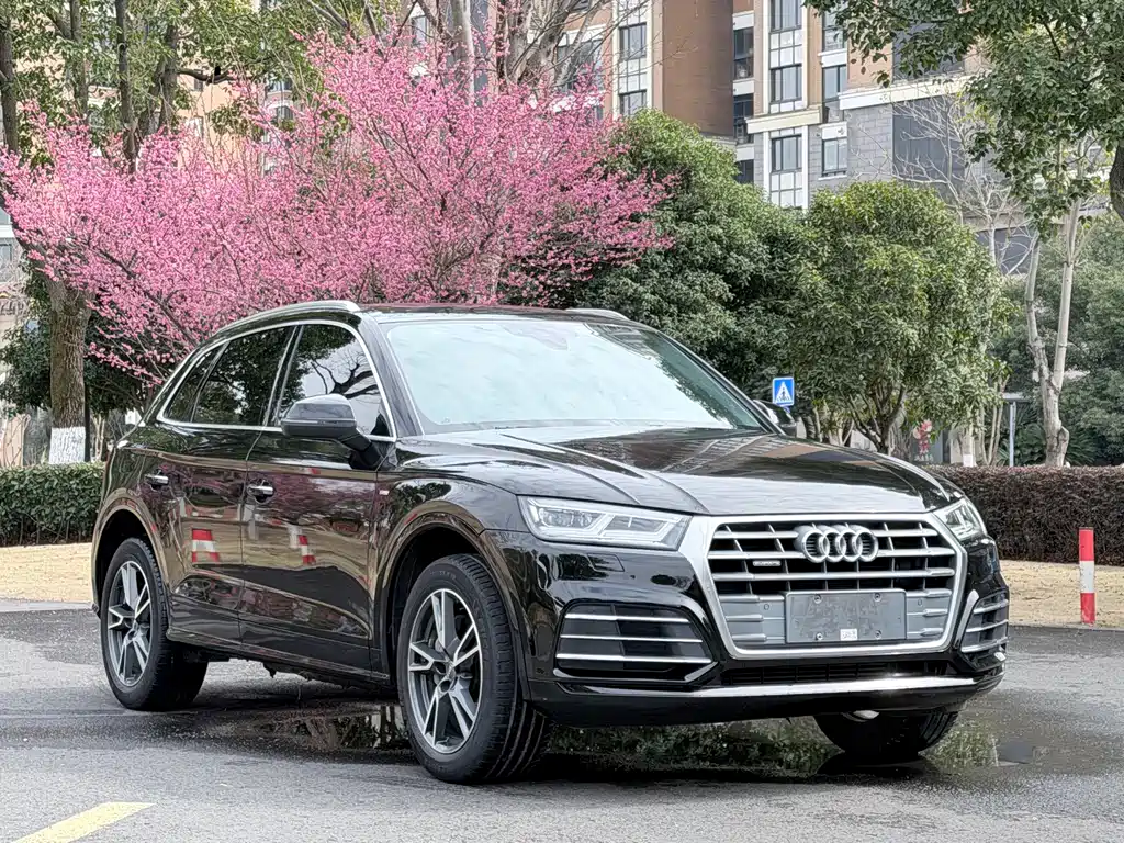 Audi Q5L 2019