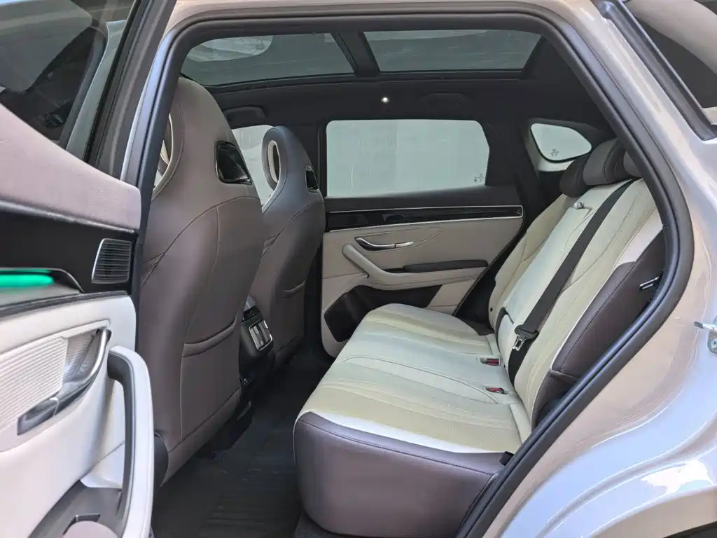 BYD Song PLUS New Energy 2024 — фото 10