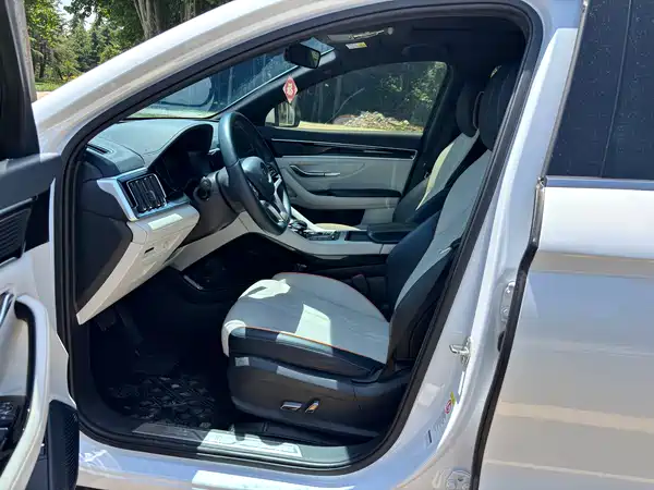 BYD Song PLUS New Energy 2021