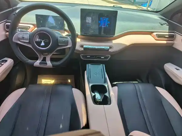 BYD Seagull 2024