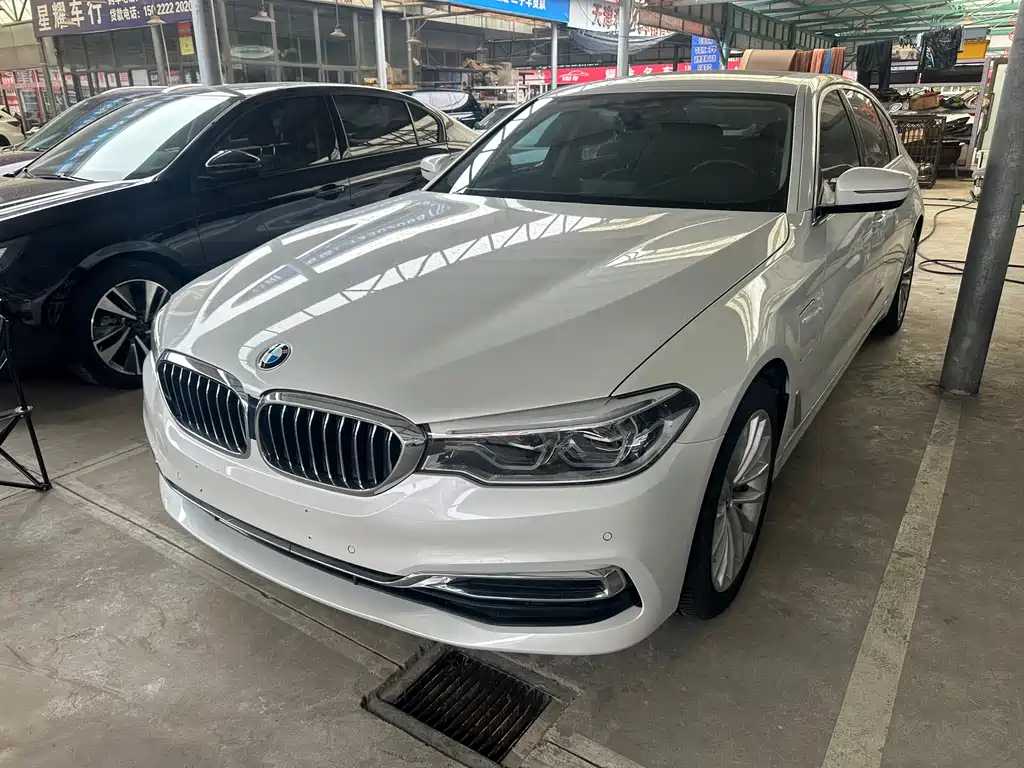 BMW 5 Series New Energy 2019