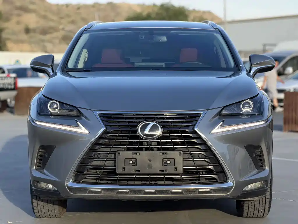 Lexus NX 2020 — фото 2