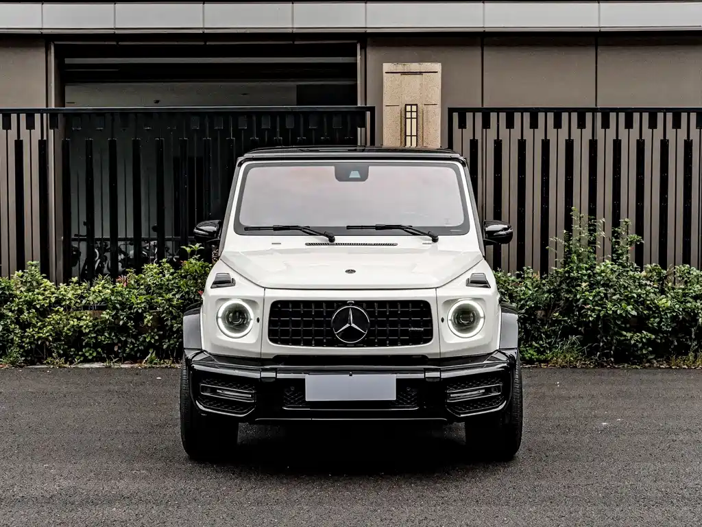 Mercedes-Benz G-Class 2018 — фото 2