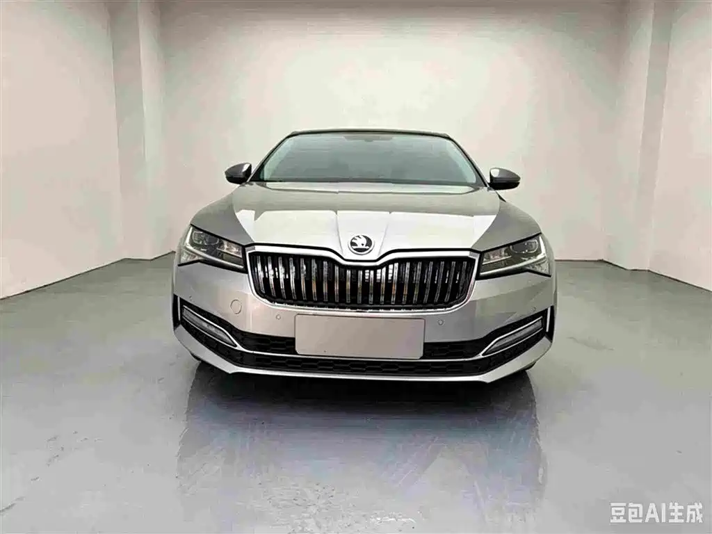 Skoda Speedy 2023