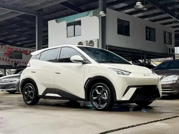 BYD Seagull 2024