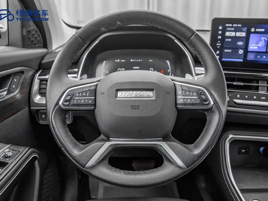 Haval H6 2021 — фото 16