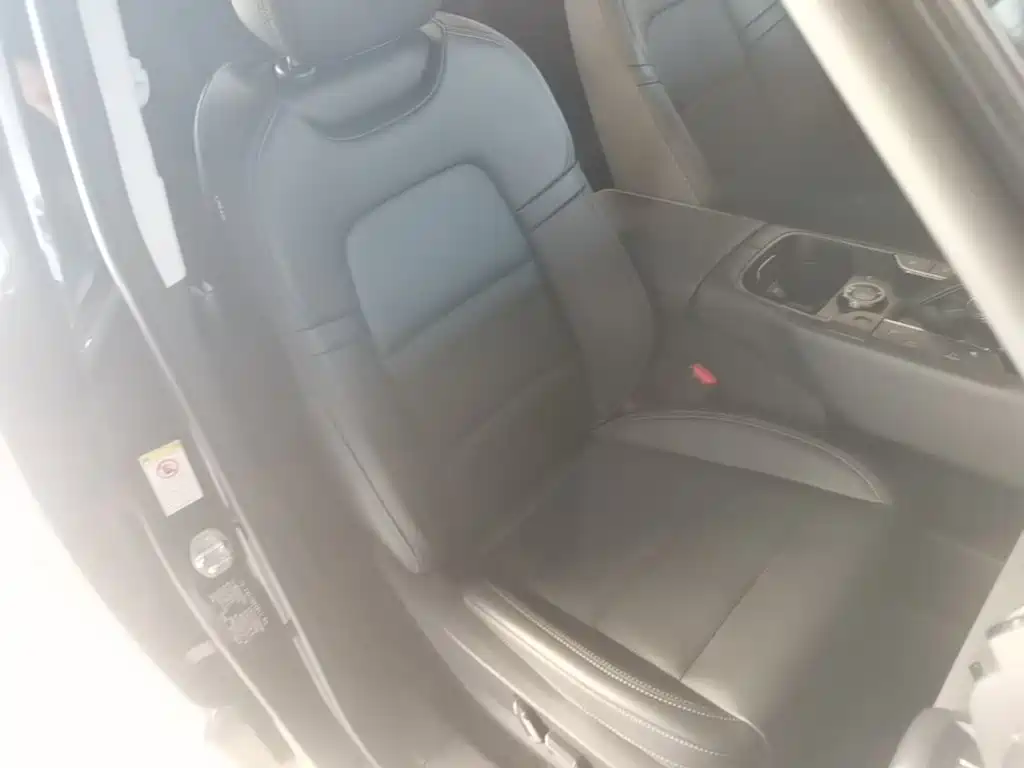 Haval Big Dog PLUS New Energy 2023 — фото 25