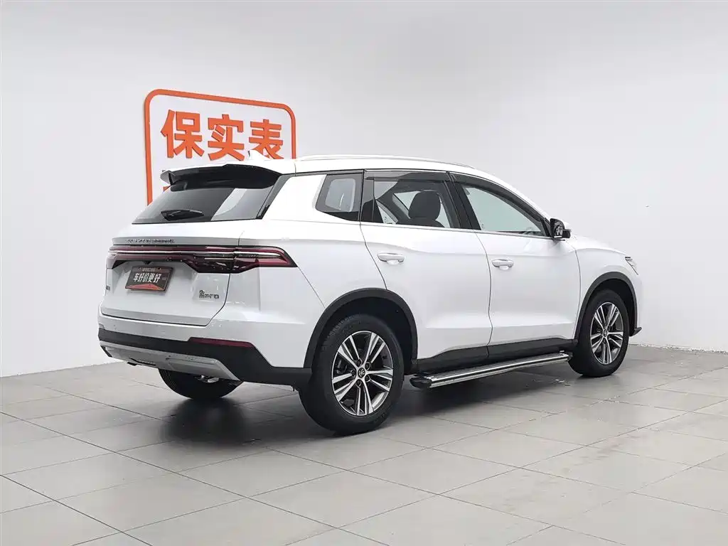 BYD Pro 2020 — фото 2