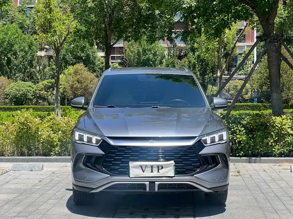 BYD Pro New Energy 2024 — фото 2