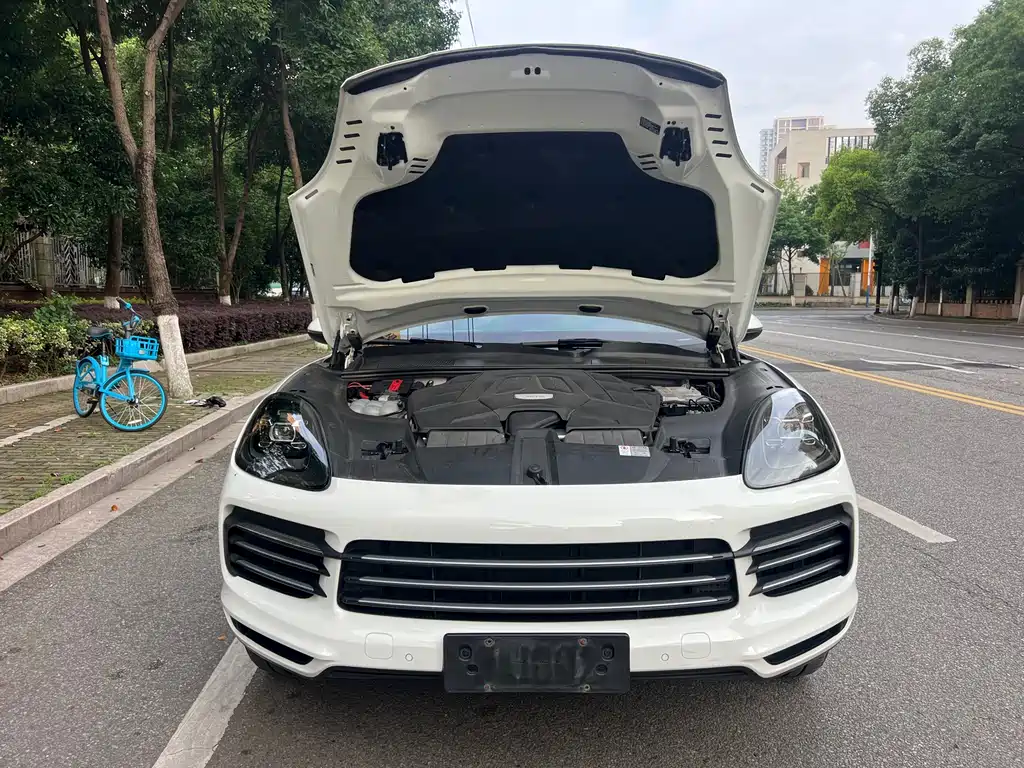 Porsche Cayenne 2018 — фото 16