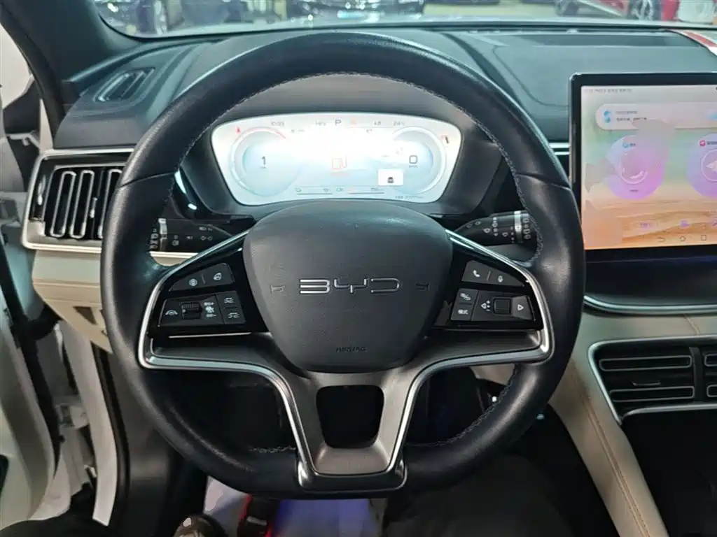 BYD PLUS New Energy 2023 — фото 11