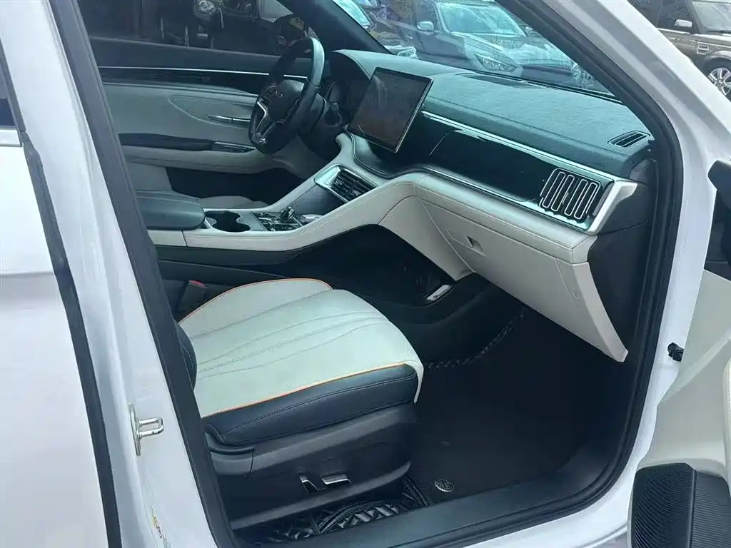 BYD PLUS New Energy 2023 — фото 25
