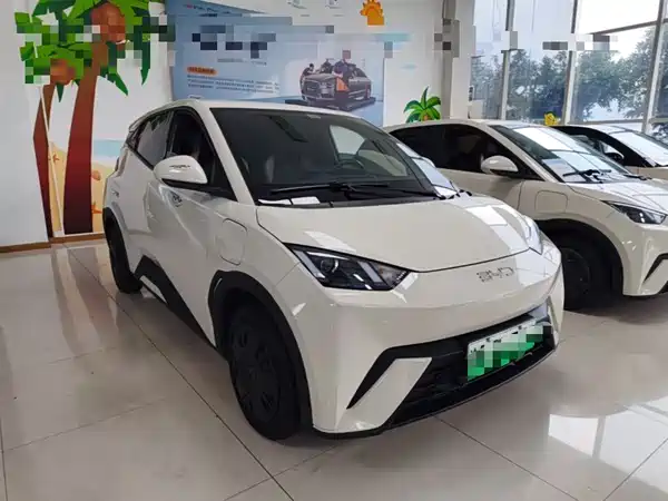 BYD Seagull 2024