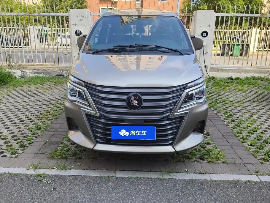Fengxing Lingzhi 2023