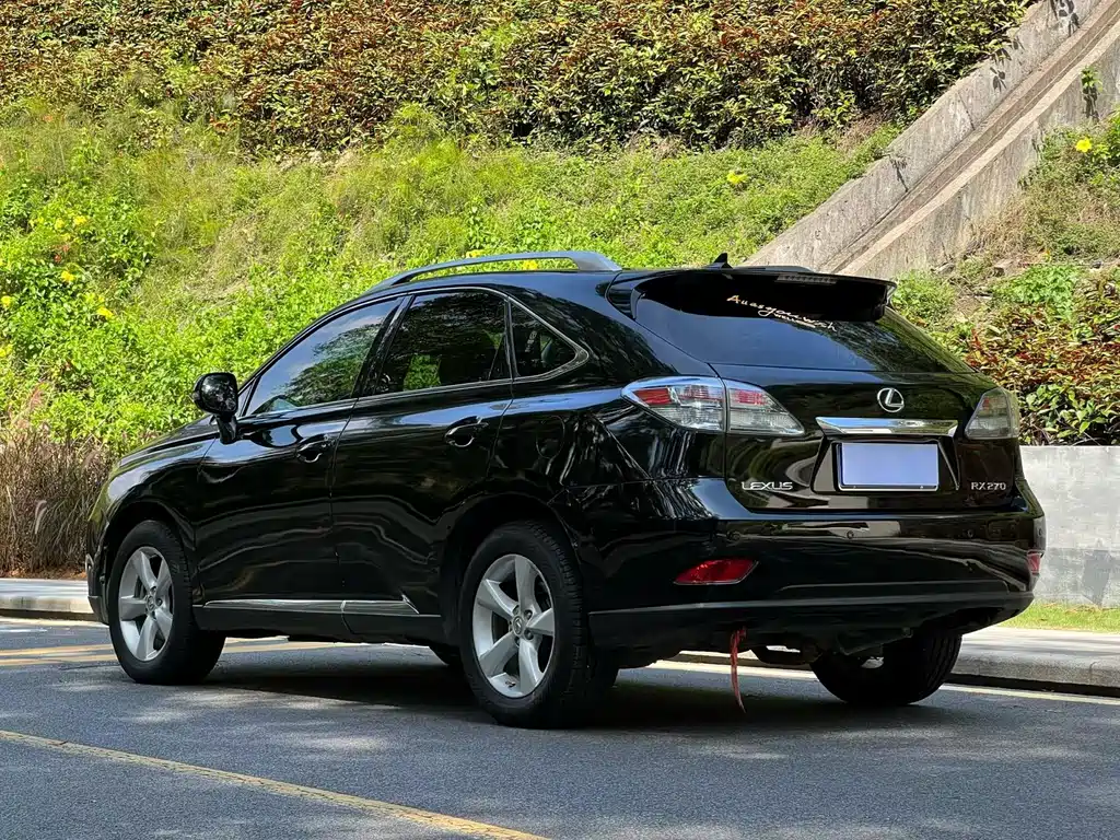 Lexus RX Classic 2010 — фото 9