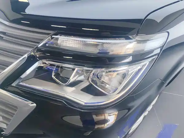 Dongfeng Lingzhi 2024