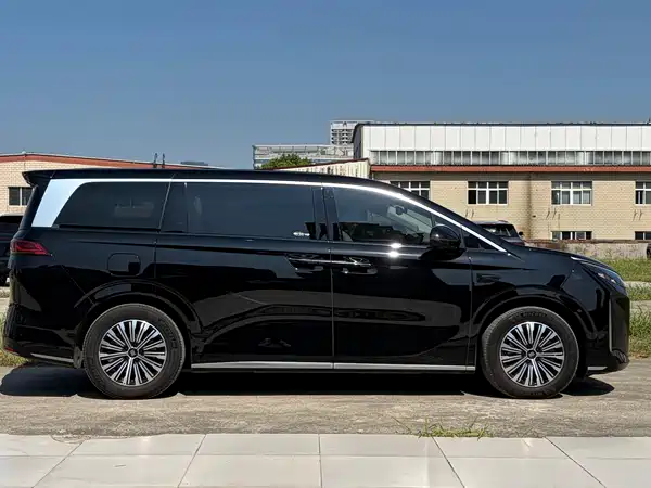 BYD Summer 2025