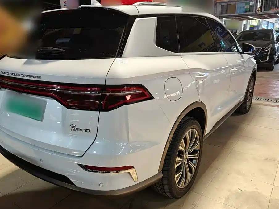 BYD Pro New Energy 2020 — фото 7