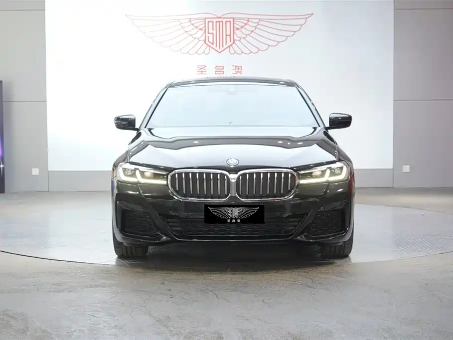 BMW 5 Series New Energy 2022