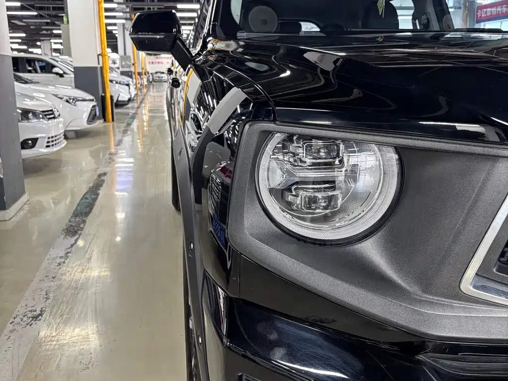 Haval Dog PLUS 2023 — фото 10