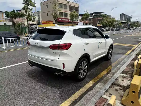 Wey VV6 2019