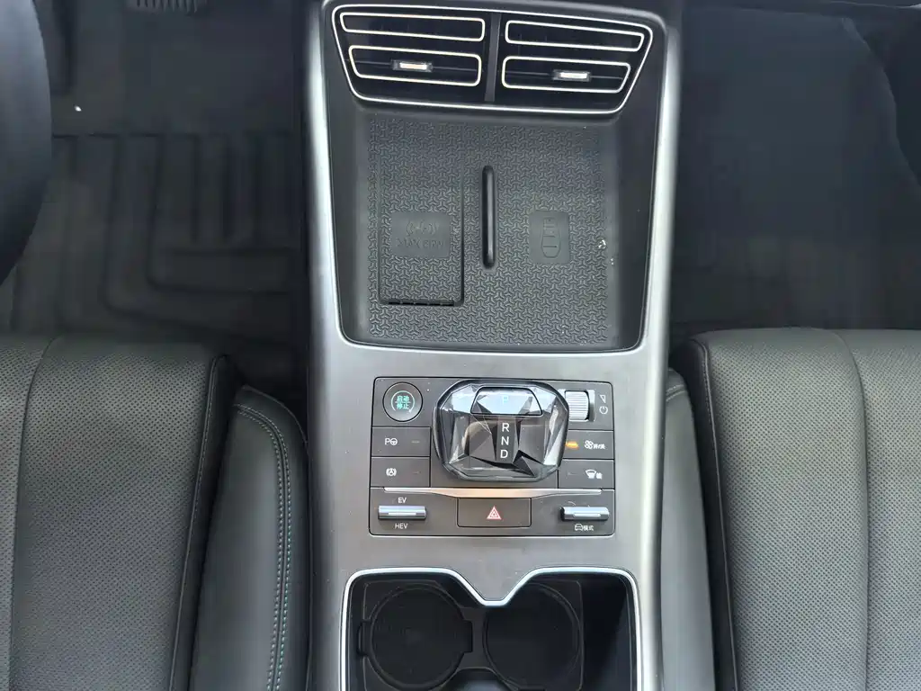BYD Song Pro New Energy 2025 — фото 13