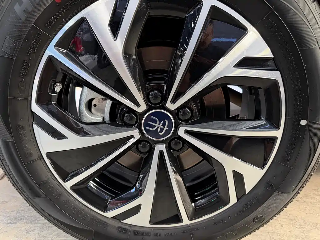 BYD Song Pro New Energy 2025 — фото 17