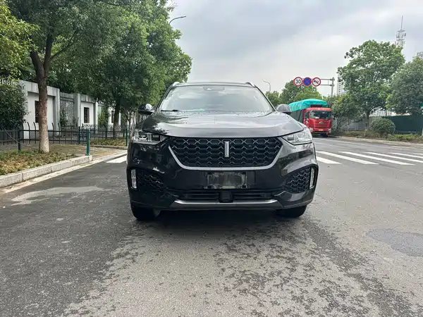 Wey VV6 2019