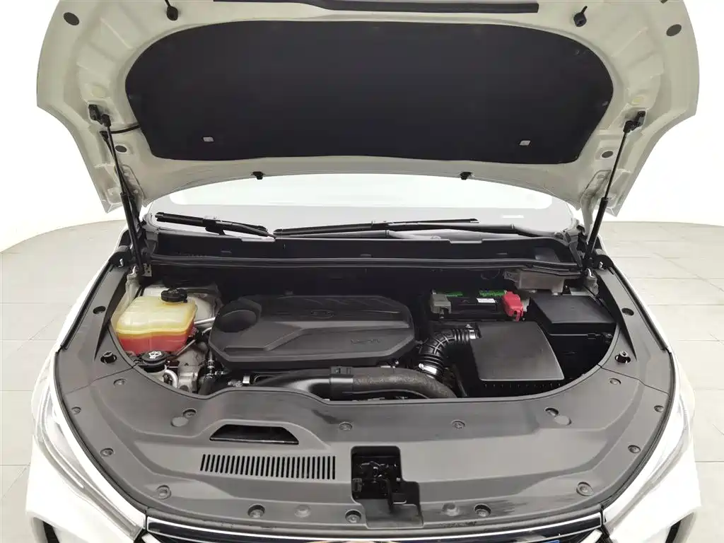 BYD MAX 2019