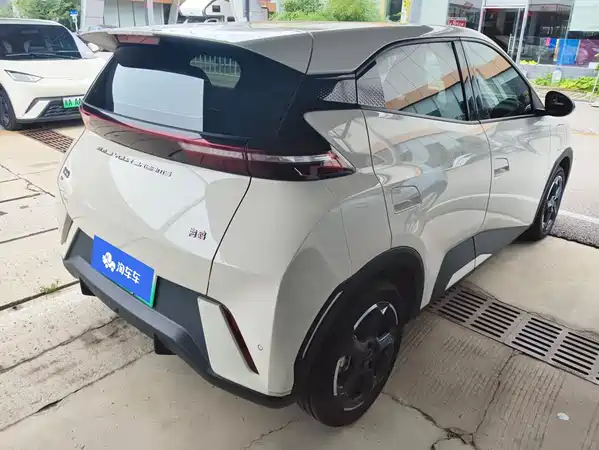 BYD Seagull 2024