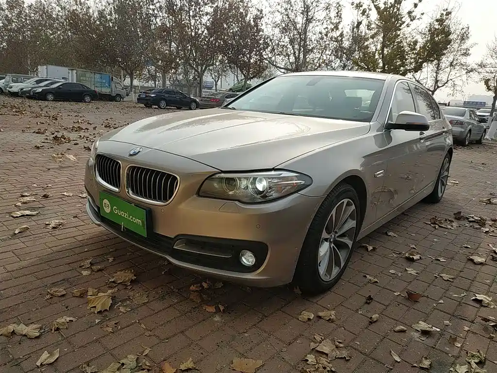 BMW 5 Series 2016 — фото 1
