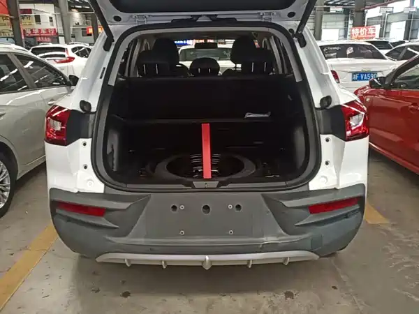 Borgward BX5 2021
