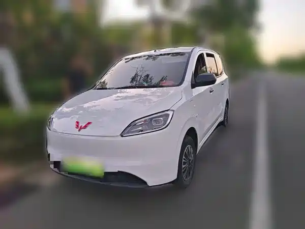 Wuling Hongguang New Energy 2025