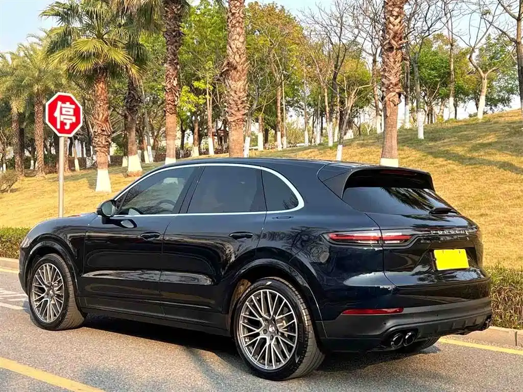 Porsche Cayenne 2020 — фото 12