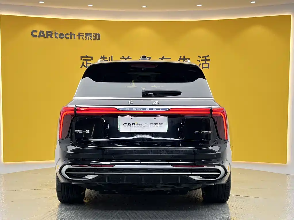Hongqi E-HS9 2023 — фото 32